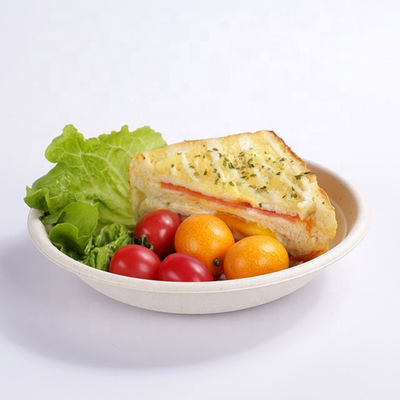 120 Degree Oil Resistant Biodegradable Sugarcane Bagasse Plates Takeaway Bowl With Lid