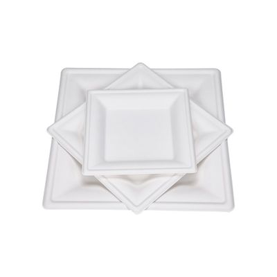 9in 10in Eco Friendly Compostable Sugarcane Paper Plates Dessert Square Cake Plate